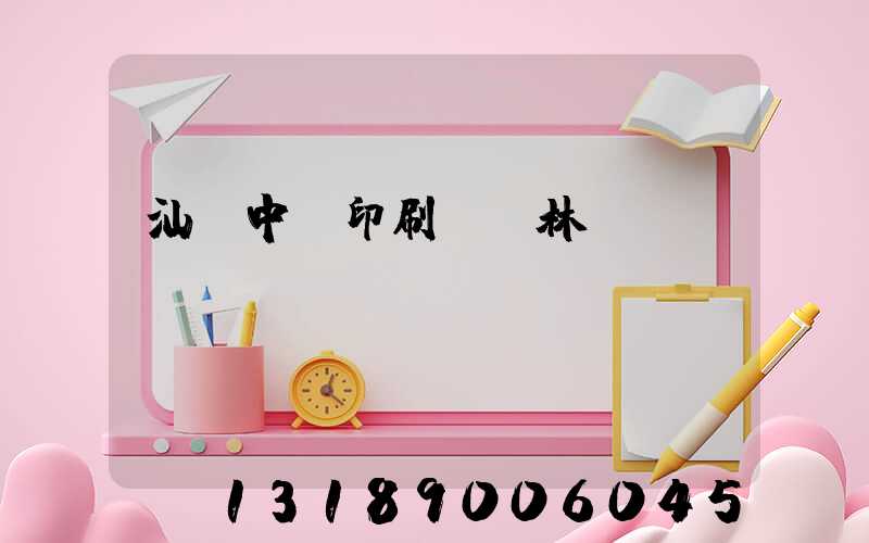 汕頭中興印刷廠 林偉國